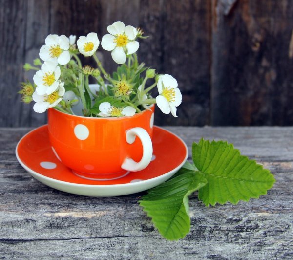 Чашка с цветочками