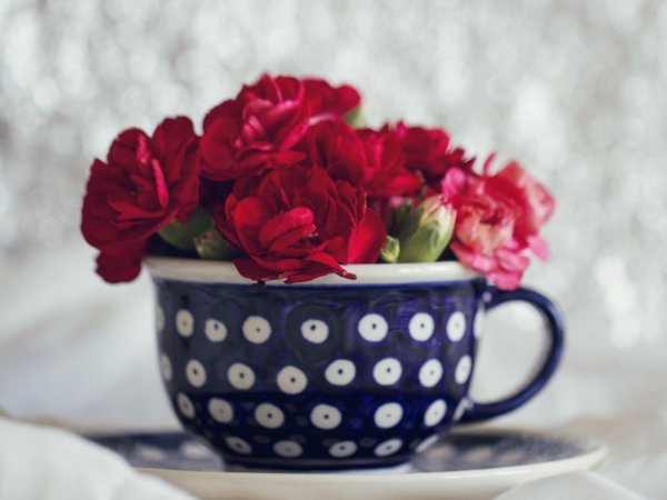 Цветы в кружке