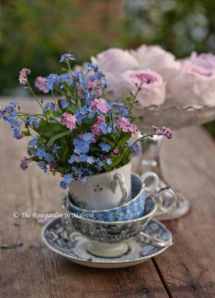 Букет незабудок в чашке