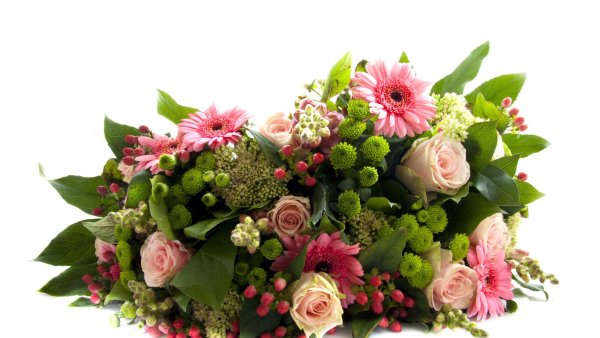 Герберы с розами