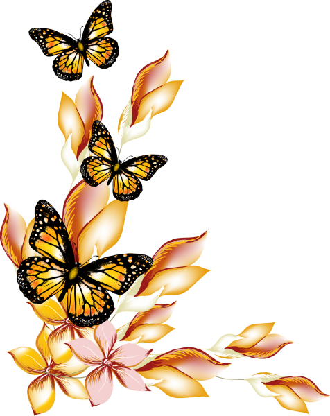 Бабочки на белом фоне