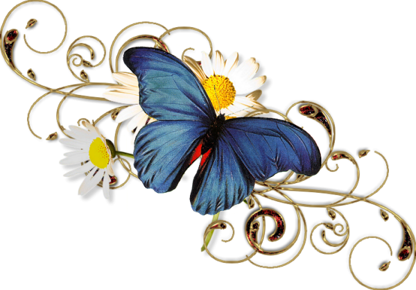 Разделители бабочки