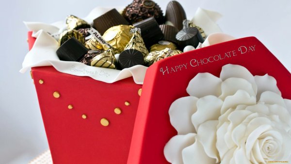 Роза Пинк Рафаэлло