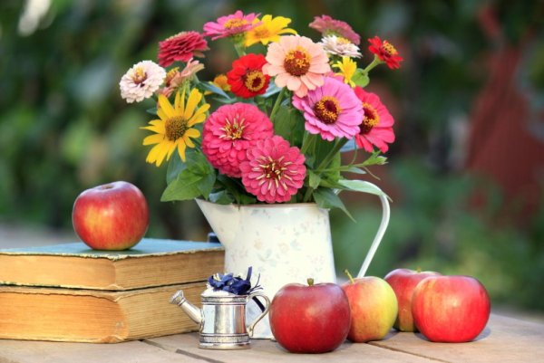 Осень цветы