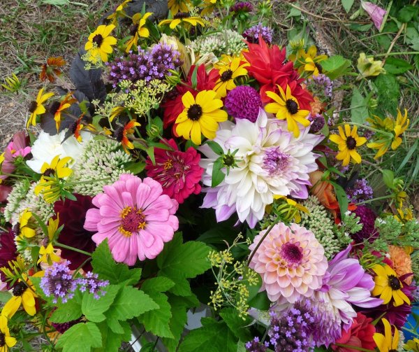 Букет августовских цветов