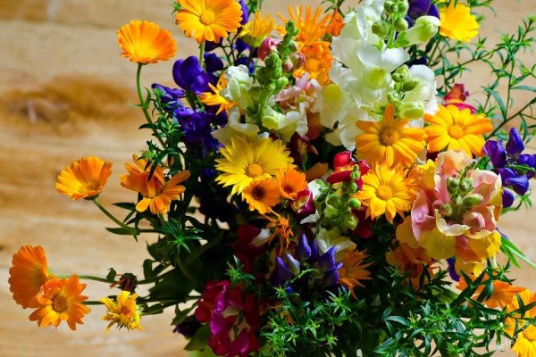 Цветы августа