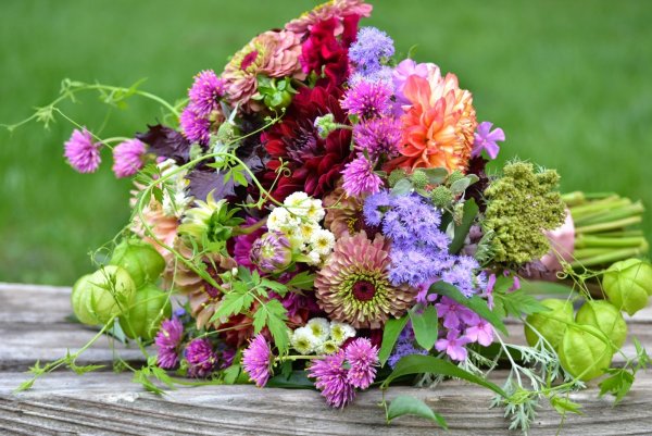 Красивый летний букет