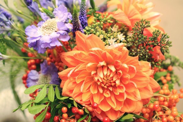 Осенний букет георгины