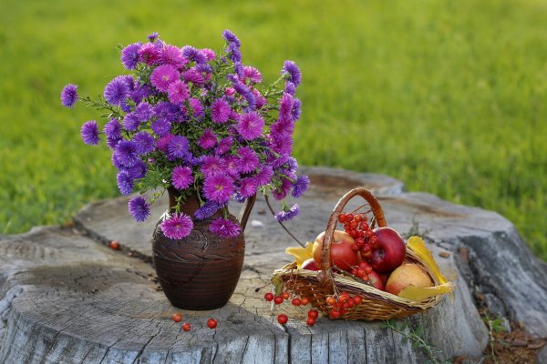 Август астры август грозди винограда