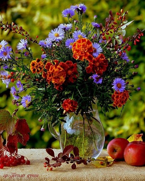 Полевые цветы в августе