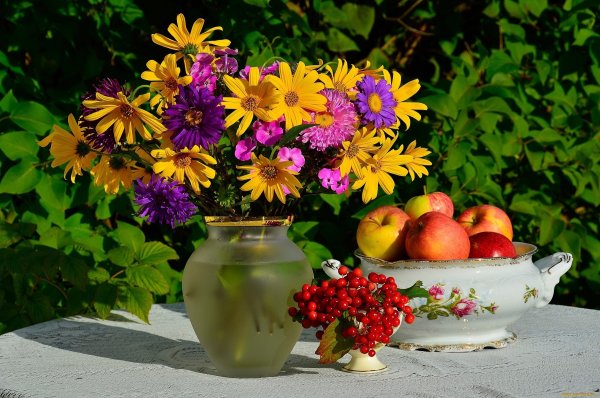 Георгины Фотонатюрморты