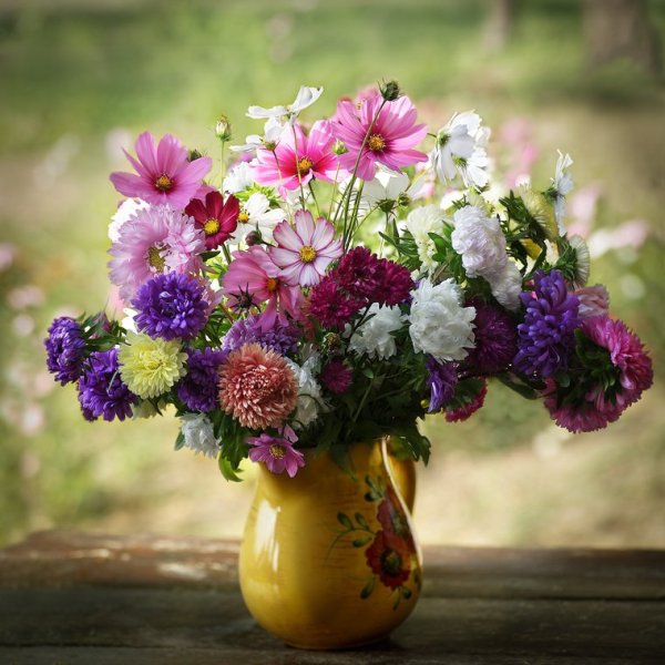 Августовские цветы