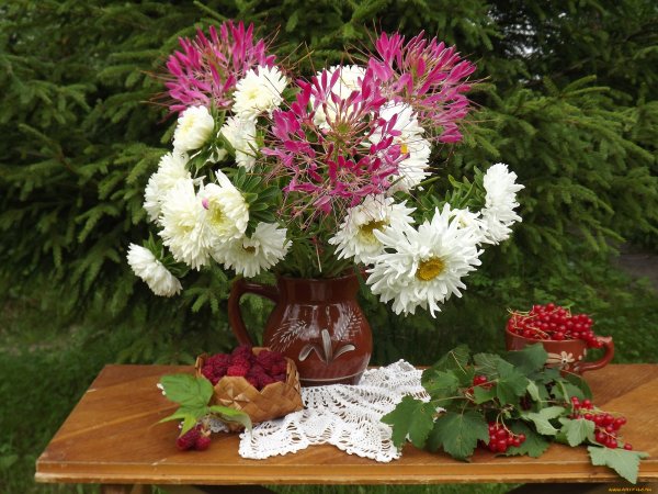 Цветы августа