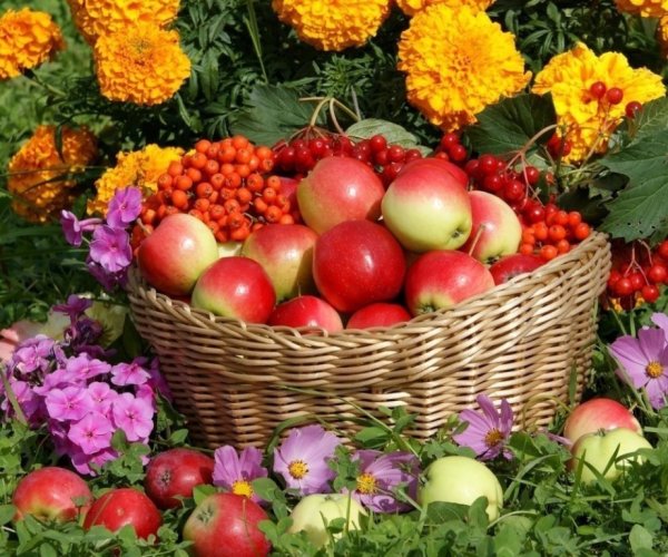 Осенняя корзина с фруктами и овощами