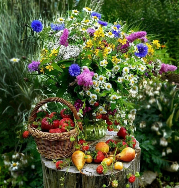 Август звезды август астры Цветаева