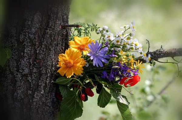 Цветочные натюрморты художник Марина Захарова