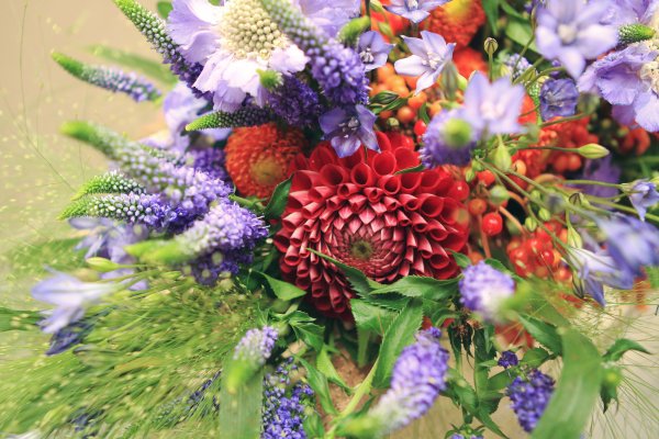 Осенние цветы