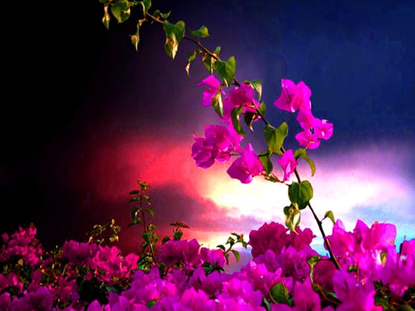 Августовский закат