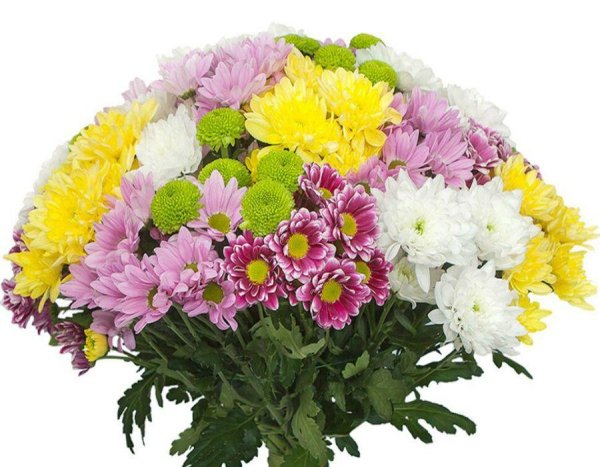 Шикарный букет хризантем