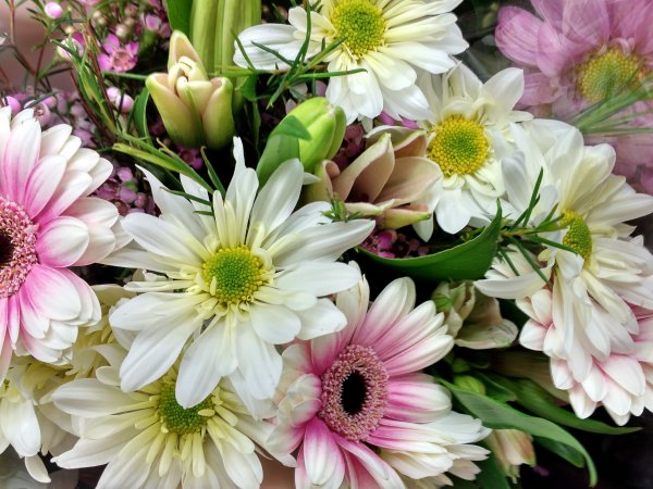 Цветы фото красивые букеты