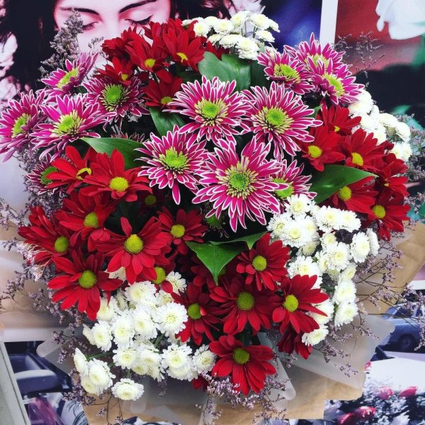 Цветы хризантемы букеты