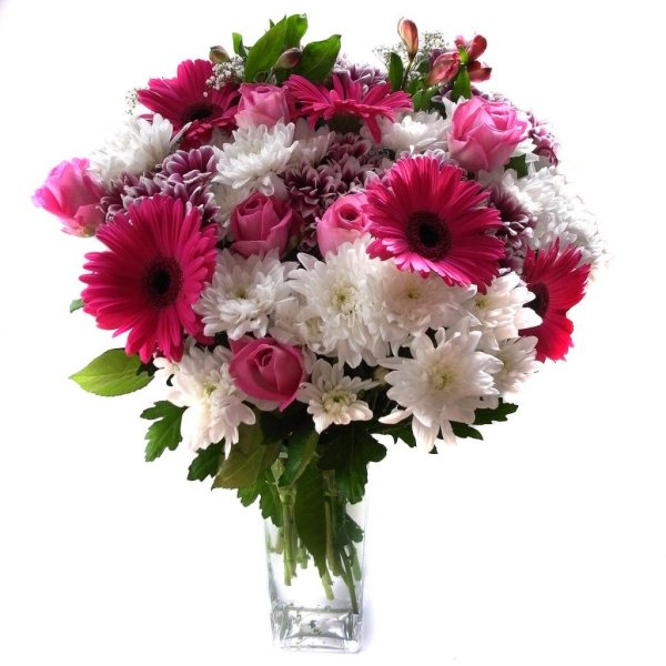 Красные хризантемы букет