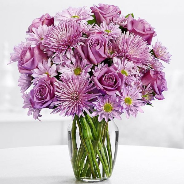 Букет лиловых хризантем