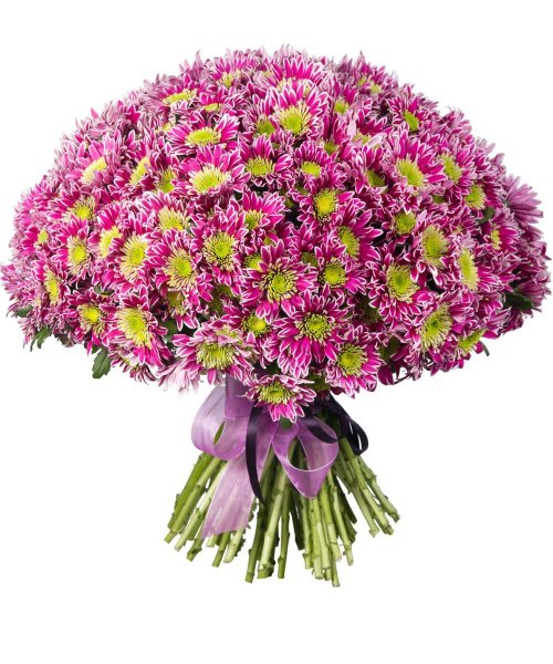 101 Хризантема букет