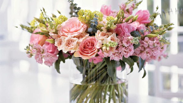 Posies Flowers