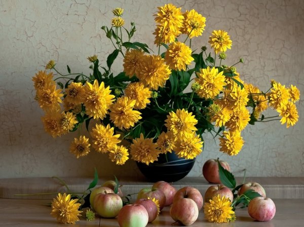 Рудбекия жёлтые георгины