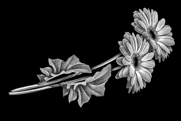 Цветы на памятник