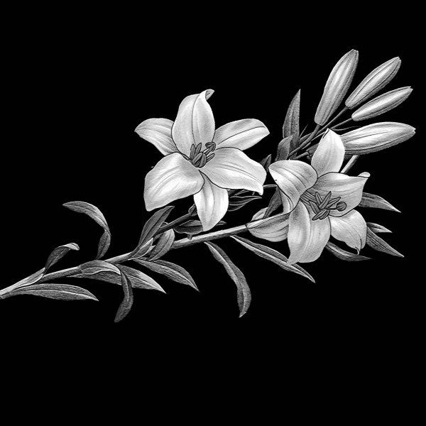 Retush dlya gravirovki гравировка памятников