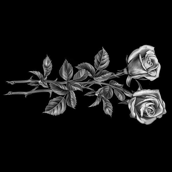 Ромашки гравировка