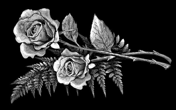 Гравировка подсолнух