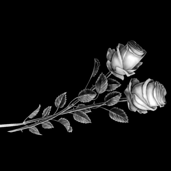 Ромашки на памятник