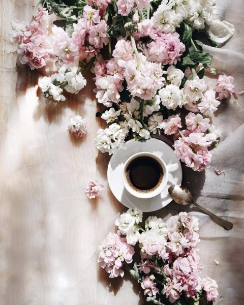 Кофе и цветы