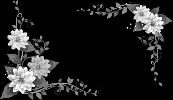 Отретушированные лилии на гранит