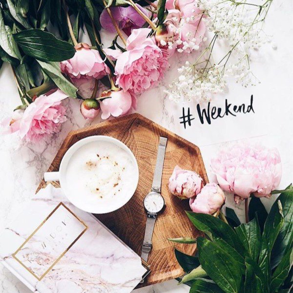 Доброе утро с пионами стильные