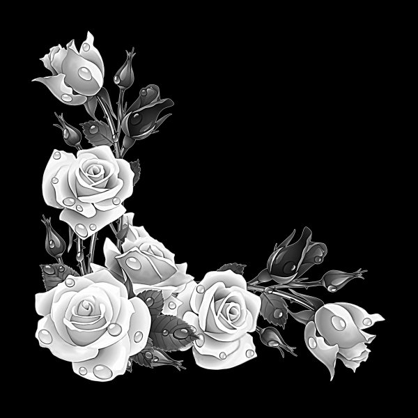 Лилия гравировка