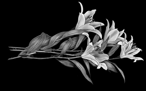 Розы на граните