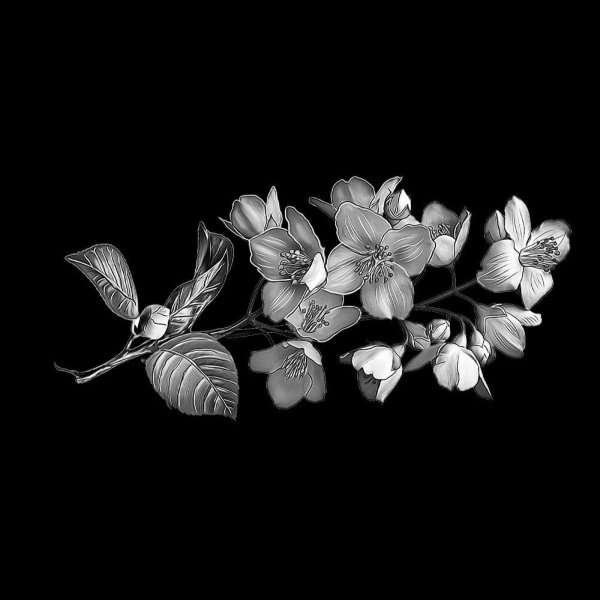 Цветы для гравировки