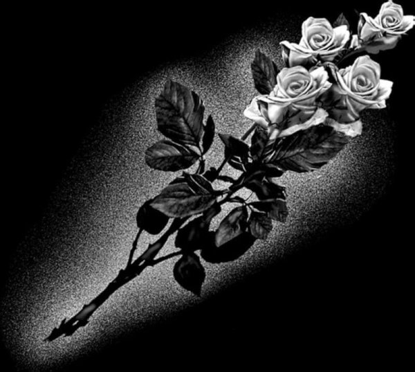 Розы на гранит отретушированные