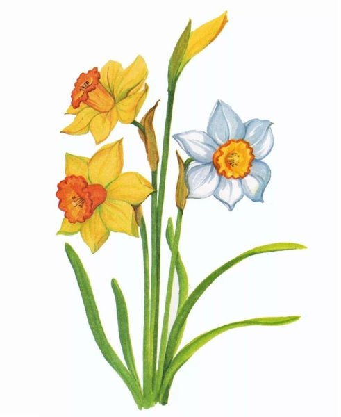 Математические пазлы цветы