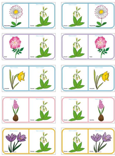 Весенние цветы для детей дошкольного возраста