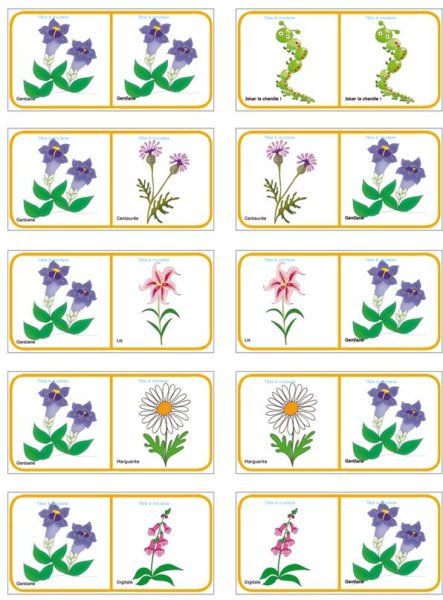 Садовые и полевые цветы для детей