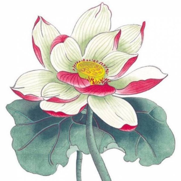 Цветы рисунок