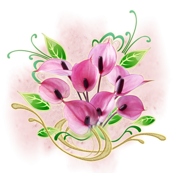 Цветы рисунок