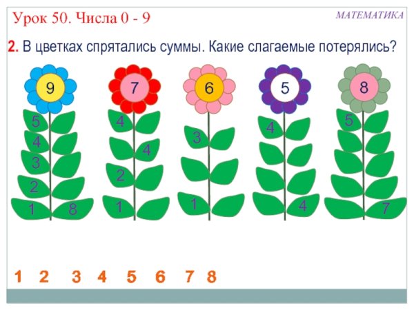 Математические цветочки