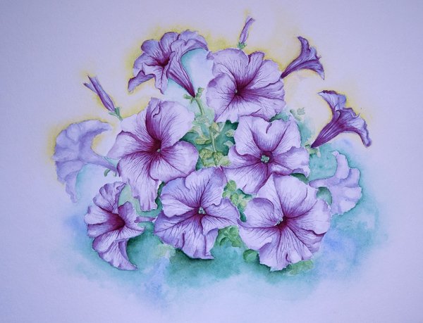 Цветы акварельными карандашами