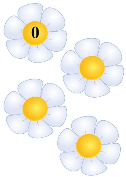 Комнатные растения задания для дошкольников